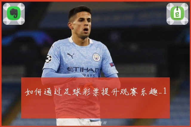 如何通过足球彩票提升观赛乐趣_1