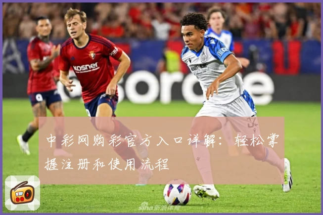 中彩网购彩官方入口详解：轻松掌握注册和使用流程