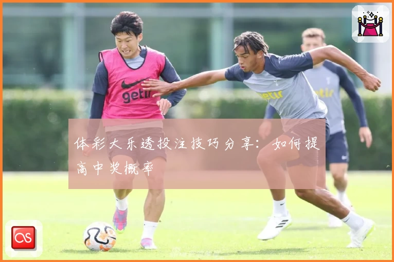 体彩大乐透投注技巧分享：如何提高中奖概率