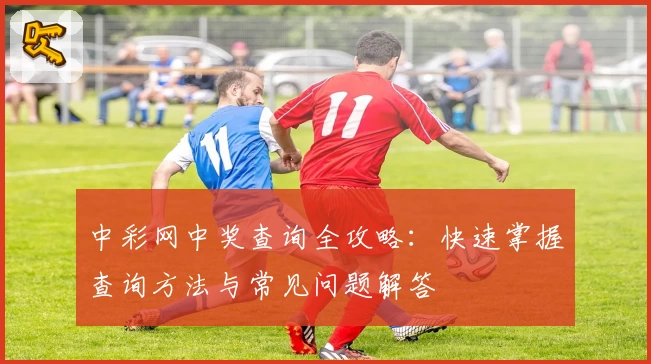 中彩网中奖查询全攻略：快速掌握查询方法与常见问题解答
